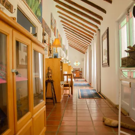 Fijnbos Manor Villa Bettys Bay Exterior photo